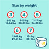 Pampers Premium Protection Nappy Pants Size 4, 168 Nappies, 9kg-15kg, Monthly Pack + Pampers Harmonie Aqua Baby Wipes 1 pack of 10 Wipes