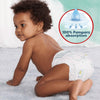 Pampers Harmonie Nappy Pants Size 6, 132 Nappies, 15kg+, Monthly Pack, Gentle Skin Protection and 360° Comfort Fit