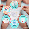 Pampers Premium Protection Nappy Pants Size 6, 132 Nappies, 13kg-19kg, Monthly Pack + Pampers Harmonie Aqua Baby Wipes 1 pack of 10 Wipes